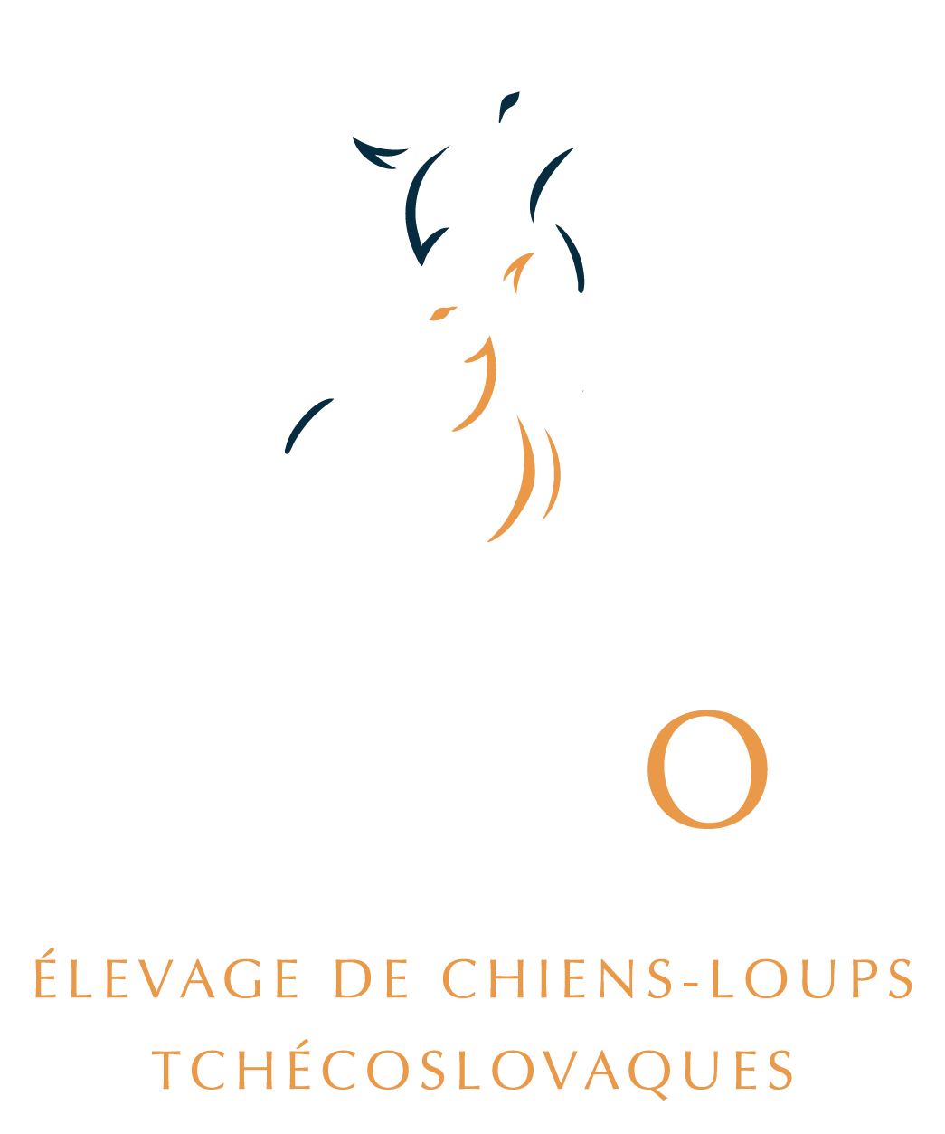 Les Loups d'Amarok